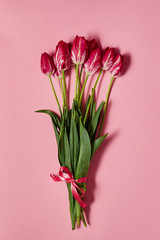 Bouquet of tulips on pink pastel background, copy space. Spring minimal concept. Womens Day, Mothers Day, Valentine's Day, Easter, birthday. Nature background. Flat lay, top view