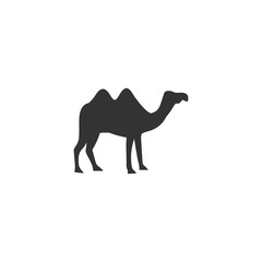Camel icon flat
