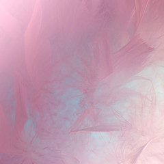 Abstract pink and blue tone feathers background. Fluffy feather fashion design vintage bohemian style pastel texture.