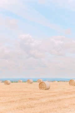 Round haystacks in a yellow field