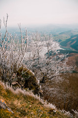 Aerial views of the Urkulu Reservoir, Guipuzcoa, Basque Country
