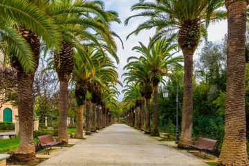 Fototapeta na wymiar Garden Ibleo (Giardino Ibleo) in the ancient baroque town Ragusa Ibla, Sicily, Italy