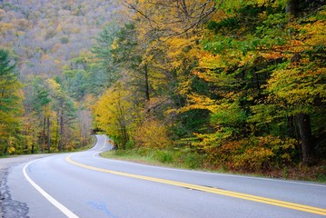 Fototapeta premium The Mohawk Trail through The Berkshire Hills (Massachusetts, USA) in autumn