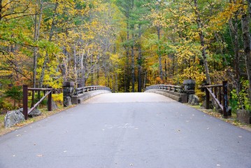 The Mohawk Trail through The Berkshire Hills (Massachusetts, USA) in autumn