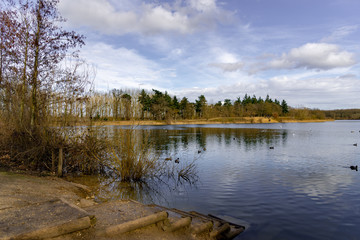 Obraz premium lake in forest