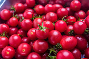 a pot of small tomatoes