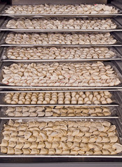 in open manufacturing refrigerator many dumplings