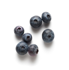 blueberries on white table, isolated with shadow 