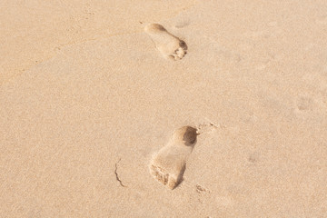 footprints in the sand by the sea, close up