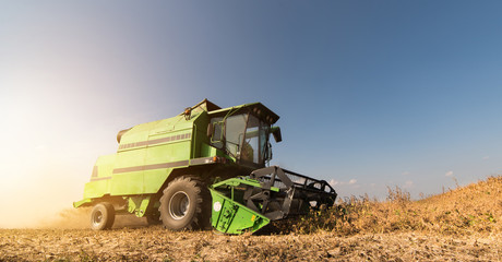Naklejka premium Harvesting of soy bean field with combine