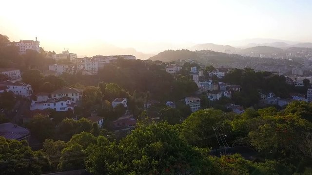Rio de Janeiro city aerial view video footage. Favelas hills. Sunset backlight. From above. the camera takes off over a large flowering tree