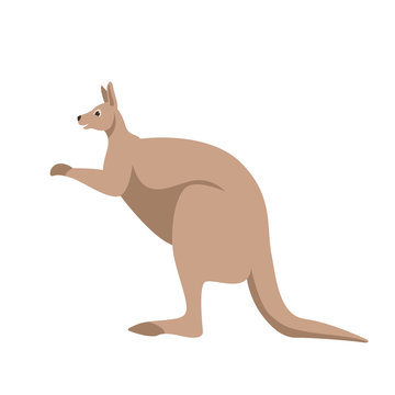  vector illustration ,  kangaroo , flat style ,profile 