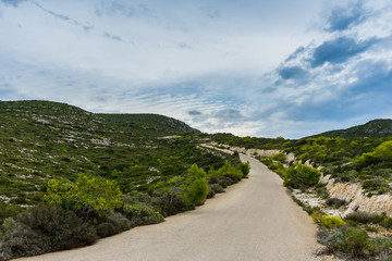 Fototapeta na wymiar Greece, Zakynthos, Curved road into the green mountains in blue hour atmosphere