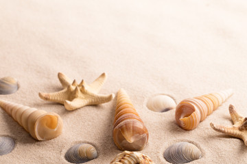 Fototapeta na wymiar star fish and sea shells on beach sand with copy space