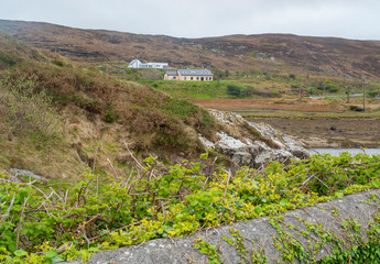 Fototapeta premium around Sky Road in Ireland