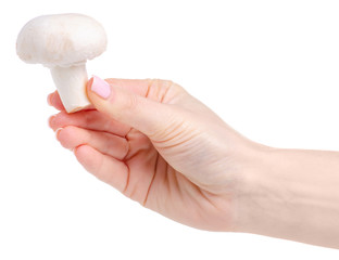 Champignon mushrooms food in hand on a white background isolation