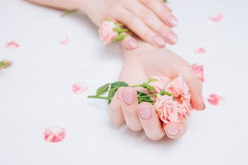 Plakat Beautiful tender female hands with pink flowers on a white background, classic manicure. Concept skin cream, winter care.