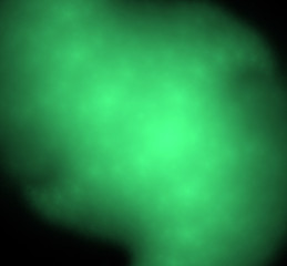 Ufo green blurred fractal background. Fantasy fractal texture. Digital art. 3D rendering. Computer generated image.