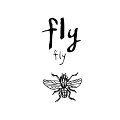 곤충 일러스트 / 손으로 그린 곤충 스케치