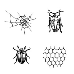 곤충 일러스트 / 손으로 그린 곤충 스케치