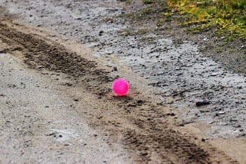 pink ball on seaside