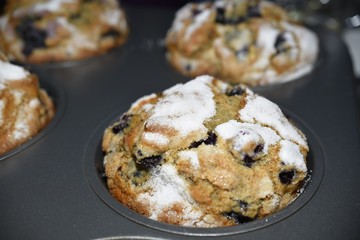 blueberry muffin in muffin tin close up