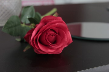 Fototapeta premium Rosa