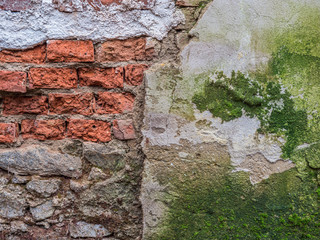 Brick Wall with Moos