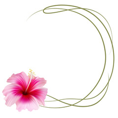 Realistic pink hibiscus frame, circle frame.