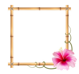 Realistic bamboo frame with pink hibiscus flower.