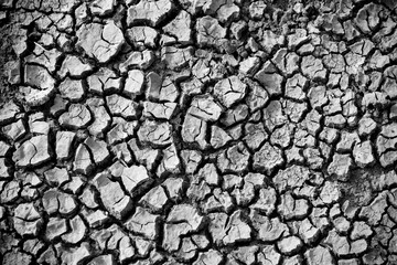 Water shortage and drought