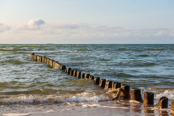 Fototapeta na wymiar wooden poles from old breakwater leftovers in the sea