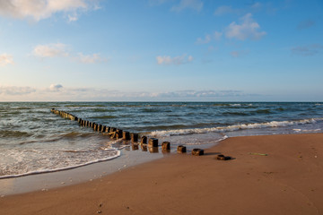 wooden poles from old breakwater leftovers in the sea