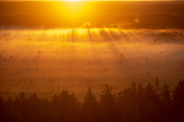 colorful misty sunrise over the forest with mist and light rays