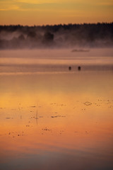 Obraz na płótnie Canvas colorful misty sunset on the river in summer