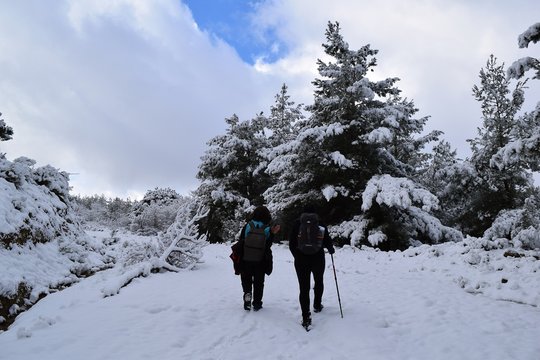  Hiking. From a hikes on the Karia trail.Turgut Castle. The Hydas Acropolis.Karia is on the way. Mugla. Turkey. tourism in pine forest Hike Turkey