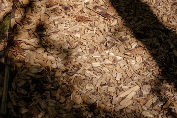 tourist trail covered with chipped dry wood