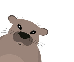 Groundhog on a white background.
