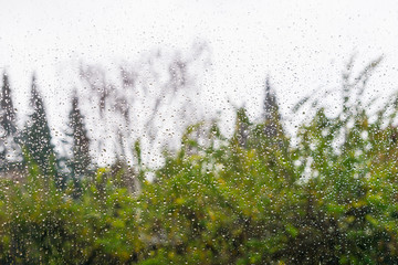 Drops of rain on the window, blurred trees on the background, California