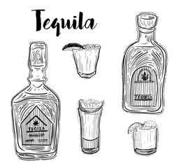 Tequila shot with lime. Hand drawn illustration converted to vector