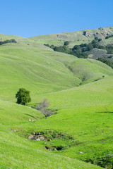 Grass covered hills, trail to Mission Peak, south San Francisco bay, California