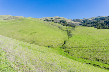 Grass covered hills, trail to Mission Peak, south San Francisco bay, California