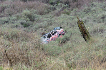 Old car crashed and vandalized, California