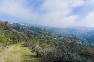 Fototapeta na wymiar Green path and retreating fog, Sierra Vista Open Space Preserve, south San Francisco bay, California