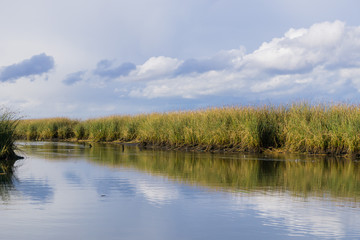 Tule reeds reflected in a salt pond on a cloudy day, Don Edwards Wildlife Refuge, south San Francisco bay, Alviso, San Jose, California