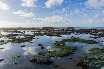 Fototapeta na wymiar Pacific Ocean coastal landscape at low tide, Fitzgerald Marine Reserve, Moss Beach, California