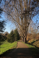 Chemin de promenade à l'automne