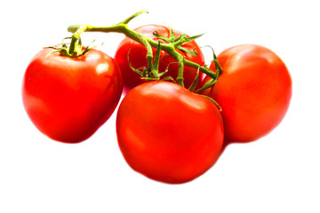 Tomato. Tomato branch. Ripe red tomatoes on the green branch. Isolated on white background Tomatoes isolated on white.