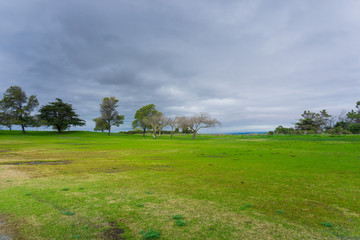 Meadow on a cloudy day, Shoreline Park, Mountain View, California