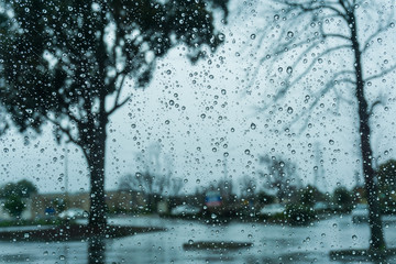 Drops of rain on the window; blurred trees in the background; shallow depth of field